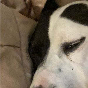 Meet your Posher, Kurt